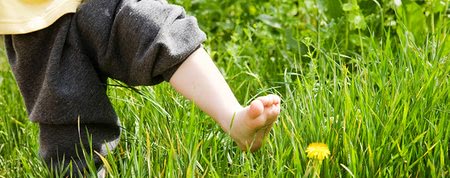 Året i naturen: Hvordan beskytter man børn mod flåter?